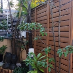 IMG_20211203_101055 (1).jpg